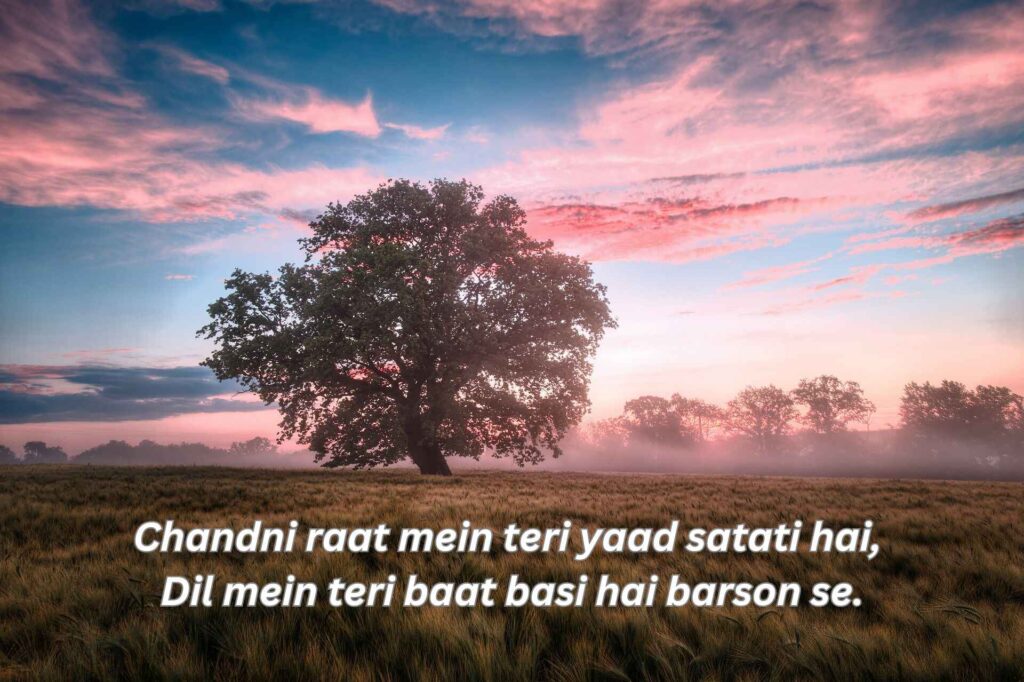 Beautiful Shayari In English _ Love & Emotions