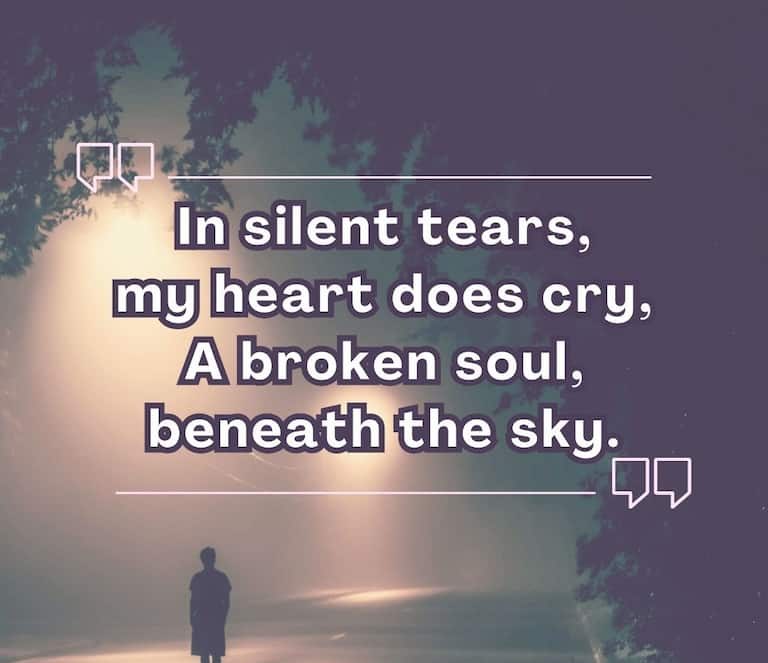 Emotional Broken Heart Shayari In English: Express Your Pain In English