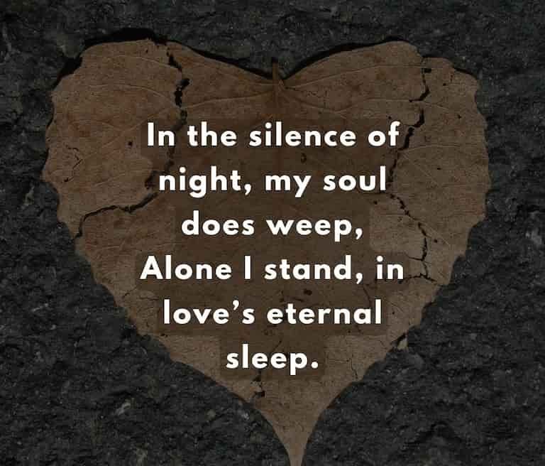 in the silence of night my soul does weep 1 e1729241490936 Alone Shayari In English Hindi – Deep Emotional Lines