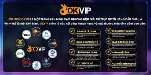 4 OKVIP Alliance: Asia's No. 1 Prestigious Entertainment Destination