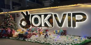 5 OKVIP Alliance: Asia's No. 1 Prestigious Entertainment Destination